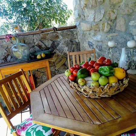 Отель Casa Do Trapo Sardoal Экстерьер фото